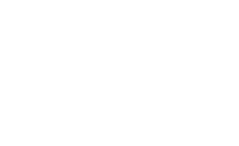 DSV Fund logo